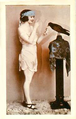 POSTCARD - CHICAGO - EXHIBIT SUPPLY COMPANY - ARCADE CARD - PIN-UP - WOMAN STANDING FEEDING LARGE BIRD - TINTED SERIES - 1920s
