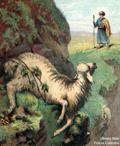 Illustration for Bible Stories and Pictures (Religious Tract Society, c 1890).