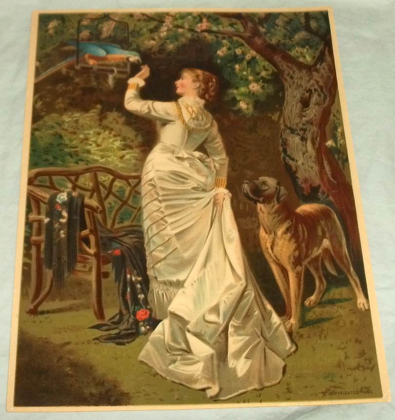 1880 ca Victorian Woman Feeding Parrot In Garden