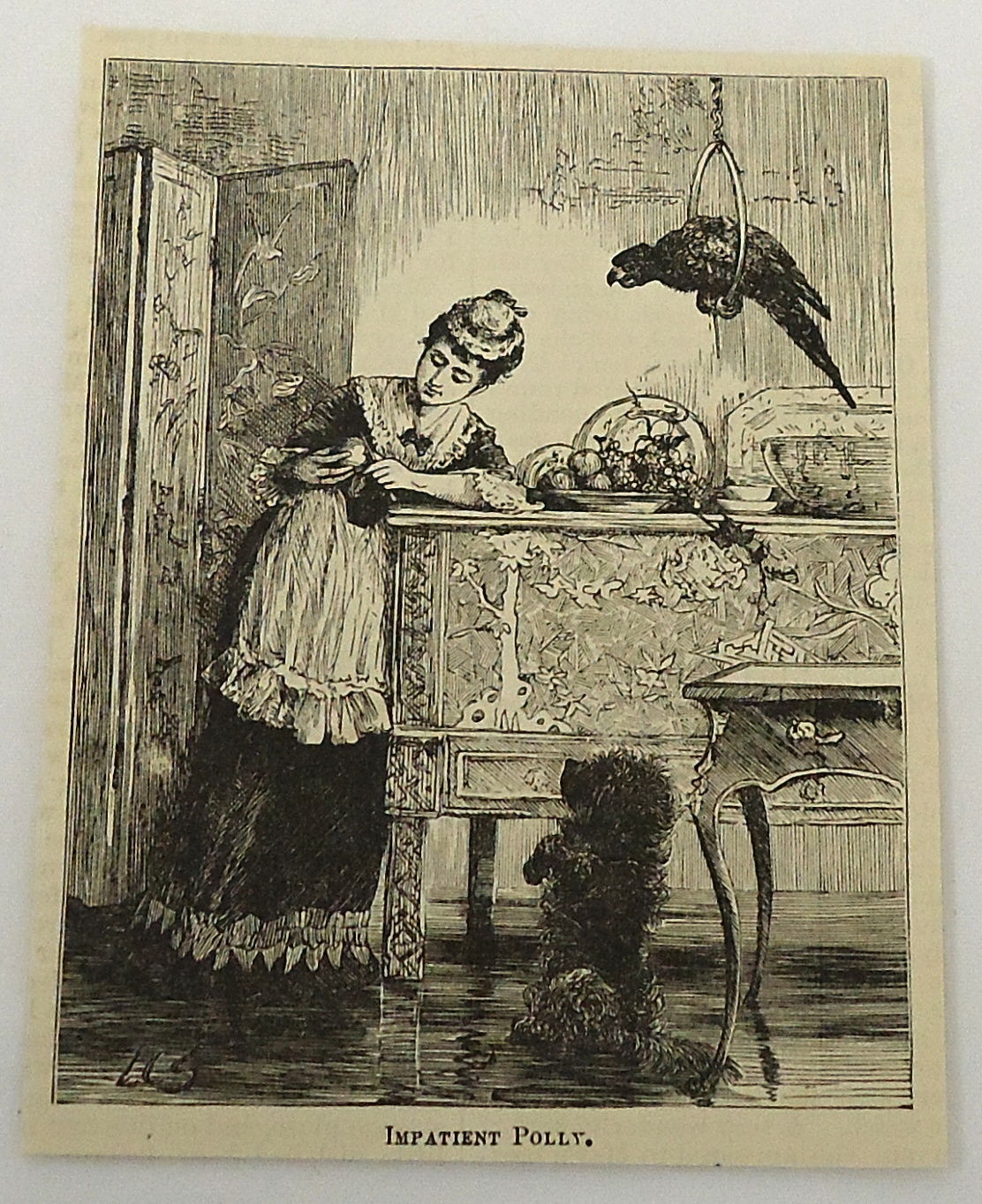 1882 magazine feminin