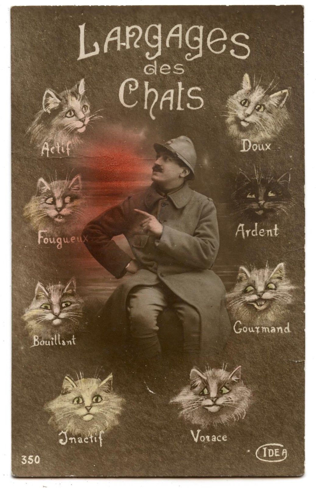 carte-postale-langage-des-chats