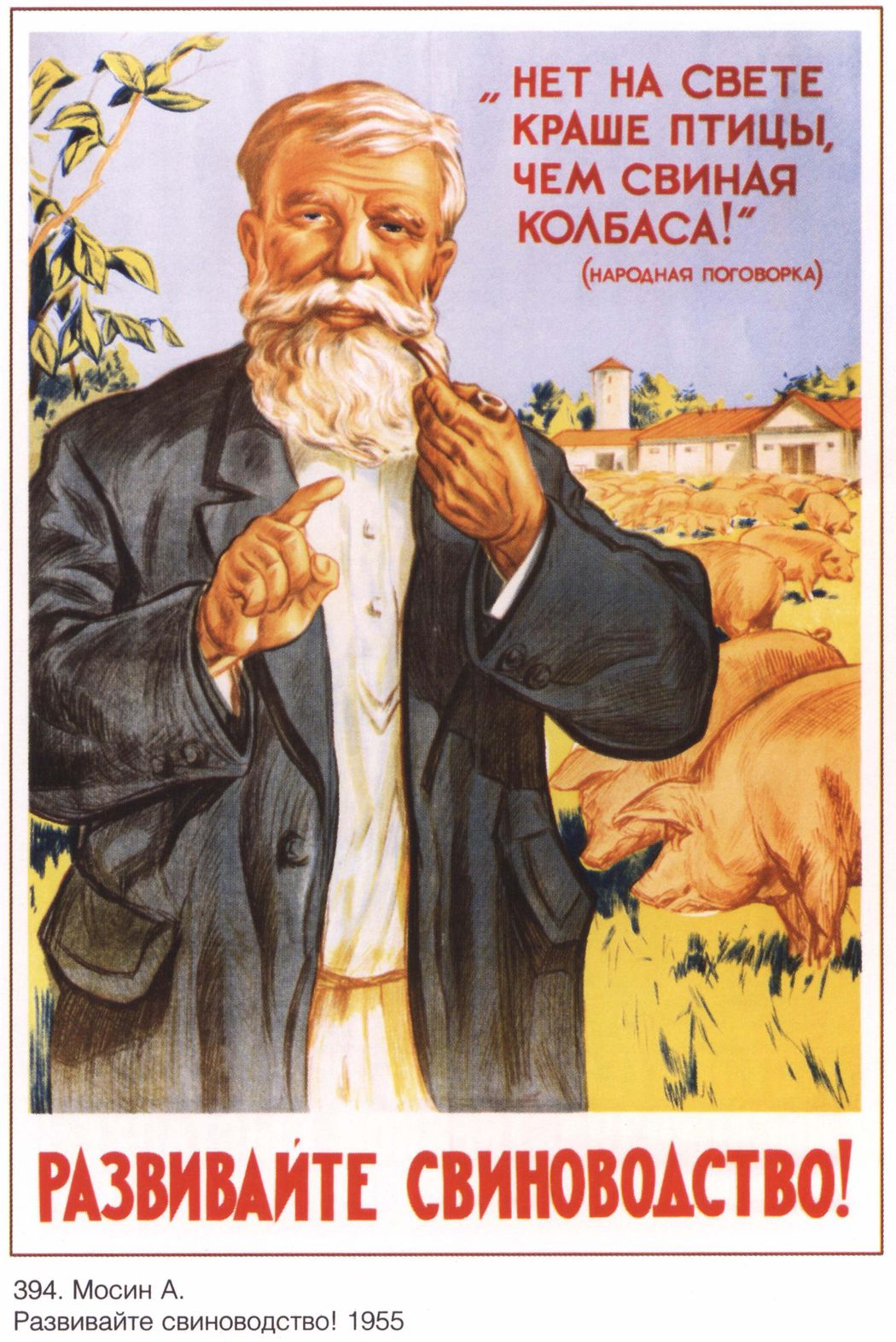 URSS 1955 Intensifier la production porcine