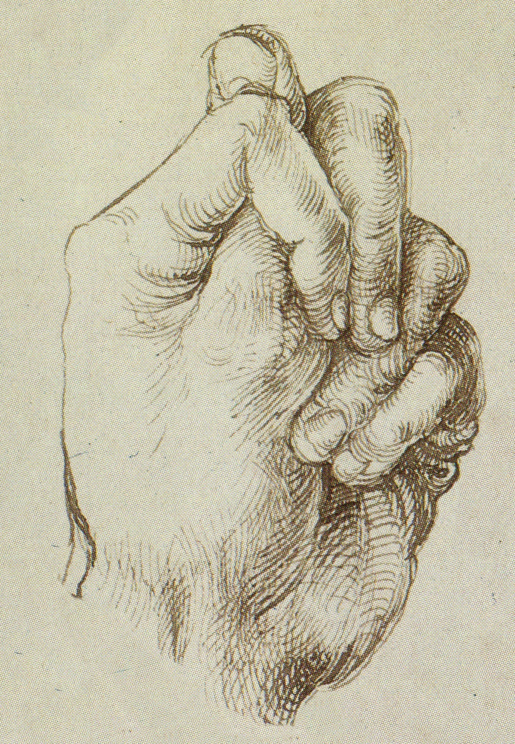 Durer Etude de main Vienne, Albertina, 1496