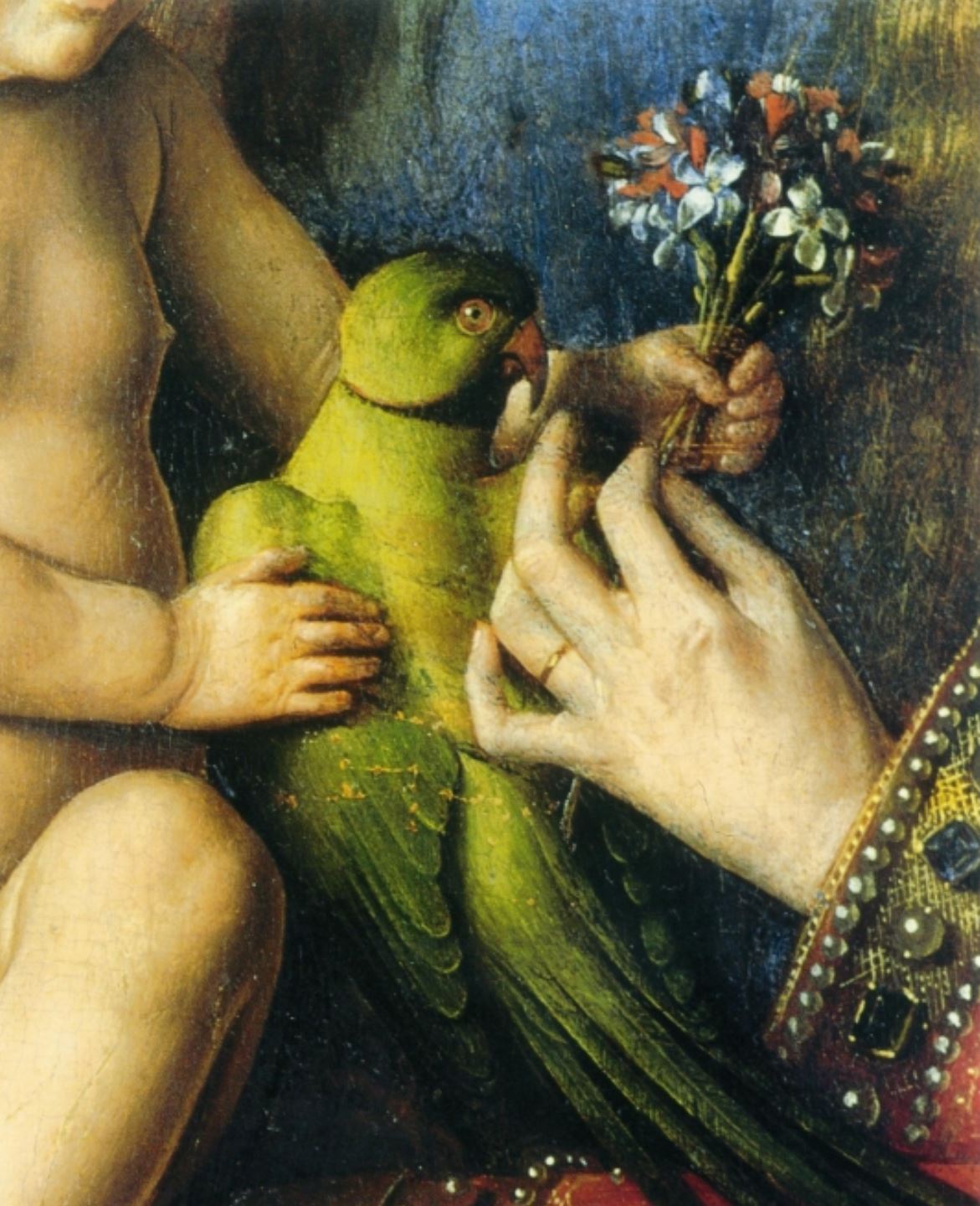 1434-36 Van Eyck La_Madone_au_Chanoine_Van_der_Paele Groeningemuseum, Bruges perroquet bouquet