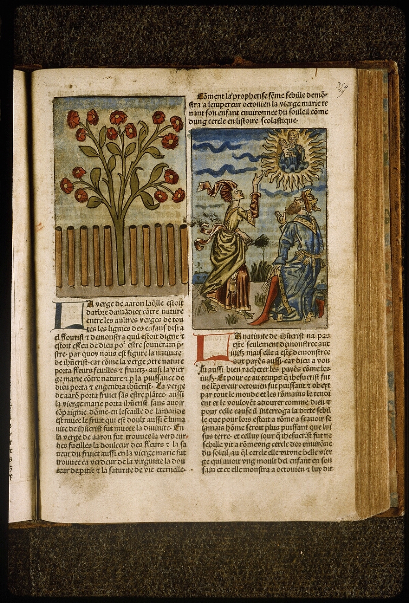 1482 Mirouer de la redempcion de l'umain lignage BM Lyon Res Inc 1043, f. 349