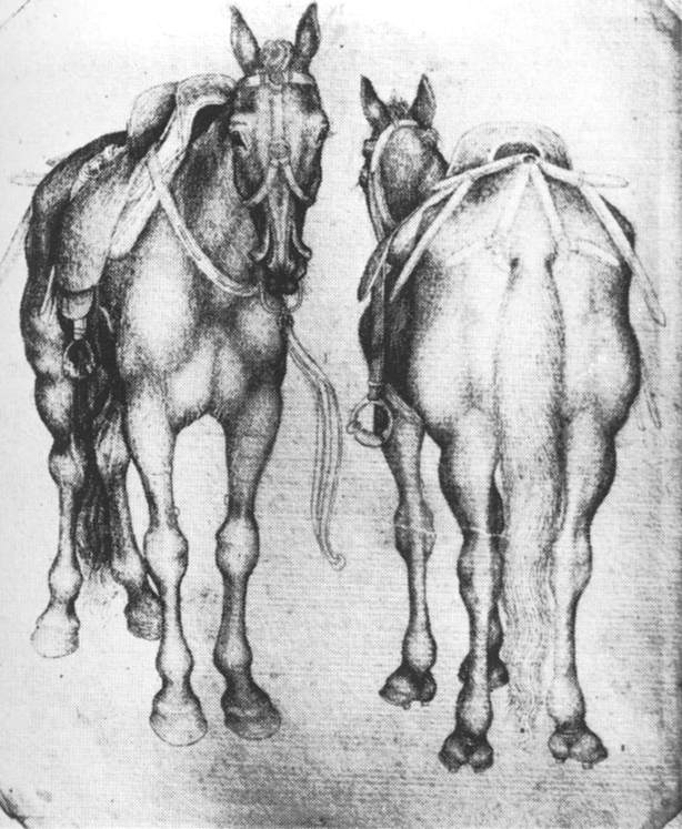 Pisanello etude de chevaux 1433-38 Louvre