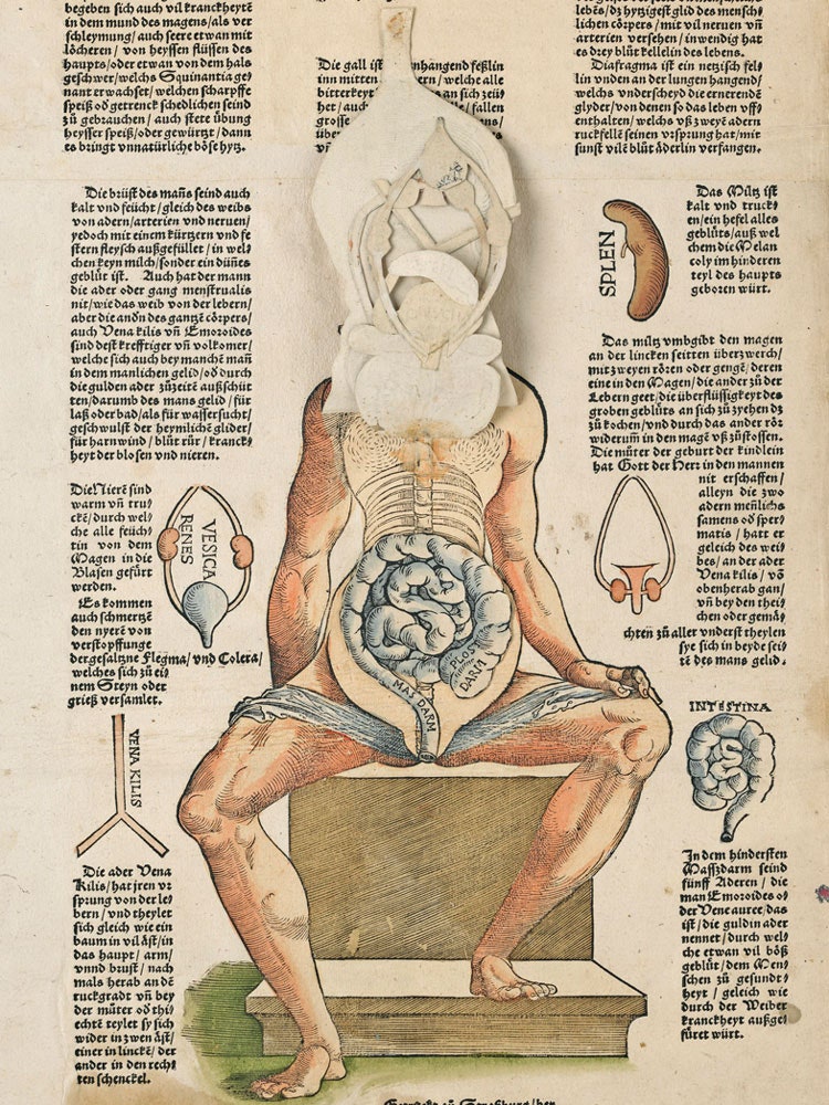 1544 Heinrich Vogtherr. Strasbourg edite par Jacob Frohlich B1