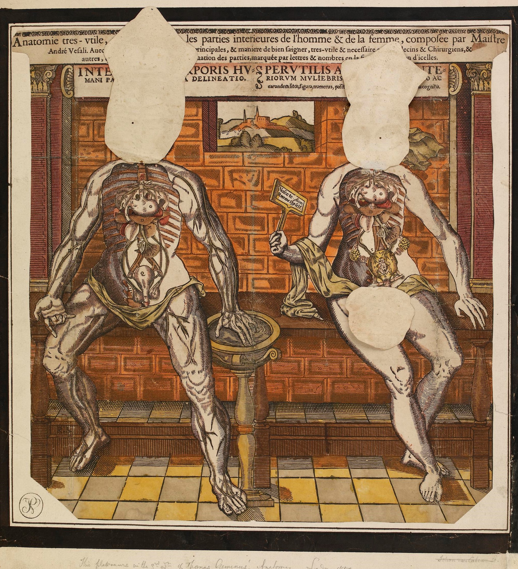 1547-68 Anatomie tres-utile edite par Gyles Godet (c) The Trustees of the British Museum B