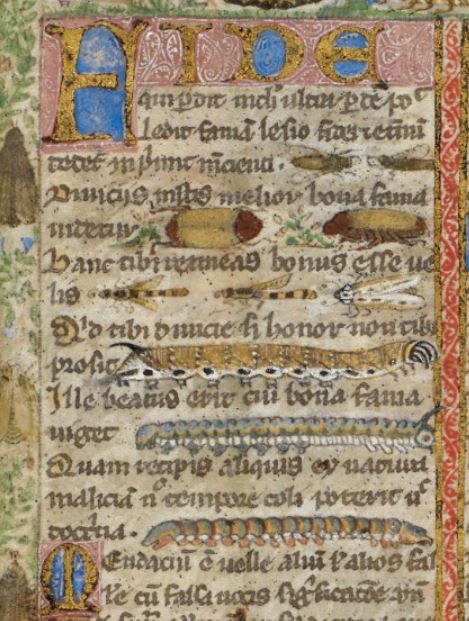 1330-40 Cocharelli codex BL Add MS 