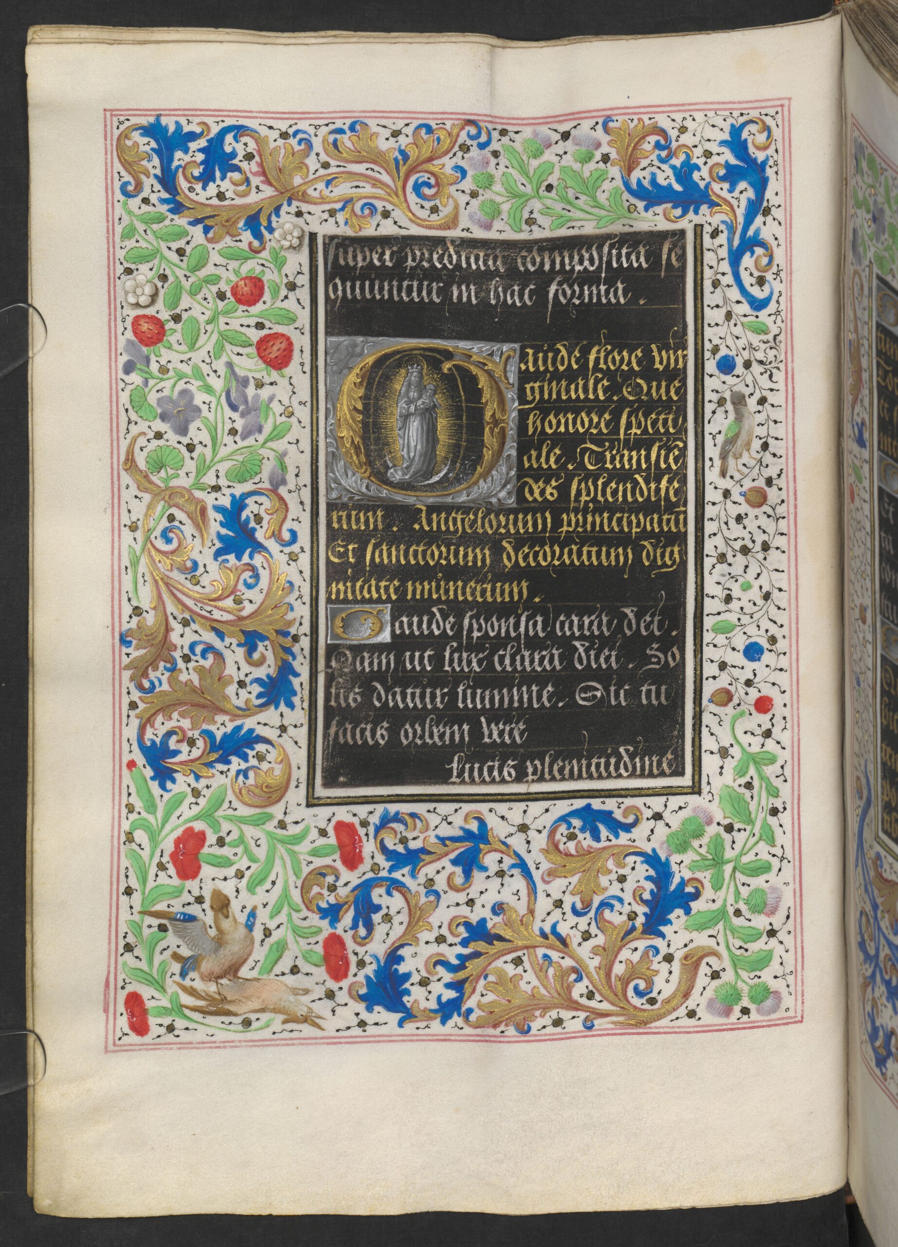 1477 Maitre viennois de Marie de Bourgogne Heures de Marie de Bourgogne ONL Codex vindobonensis 1857 Folio 16v