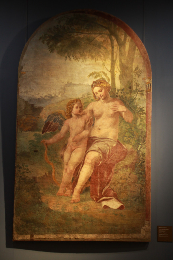Venus blessée par Cupidon (Loggia Mattei), Ermitage