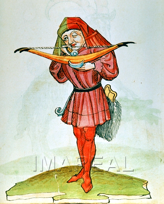Wappenbuch (ONB 12820, fol. 184r), c. 1484-1486