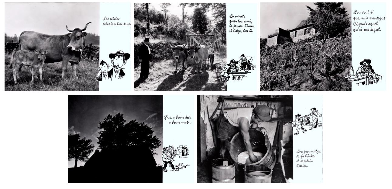 1954 ca Andre Marie Vergnes 36 cartes postales illustrant les proverbes rouergats E
