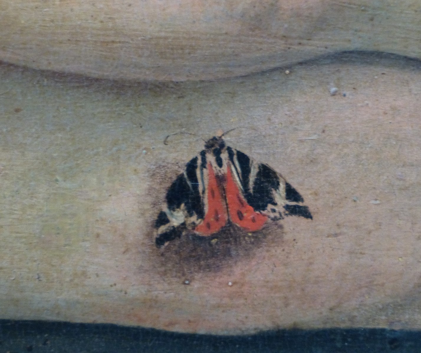 Piero_di_Cosimo_-_Venus,_Mars_and_Cupid_-_Gemäldegalerie_Berlin_-_detail butterfly