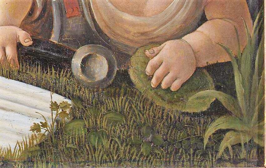 Botticelli_Venus_Mars detail plantes
