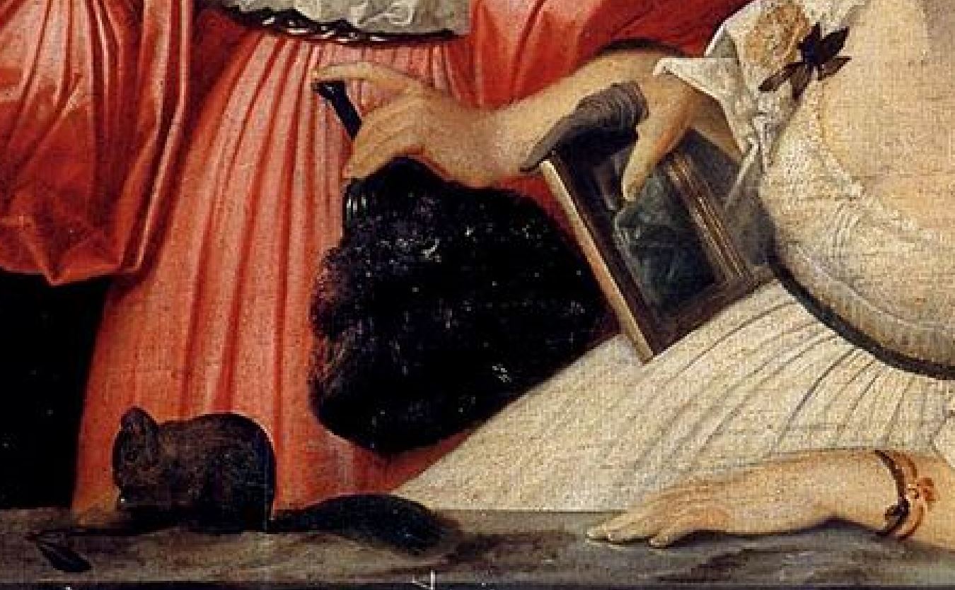 Giovanni_Cariani 1519-_Sette_Ritratti_Albani_(Seven_Albani_Portraits)_-coll part detail