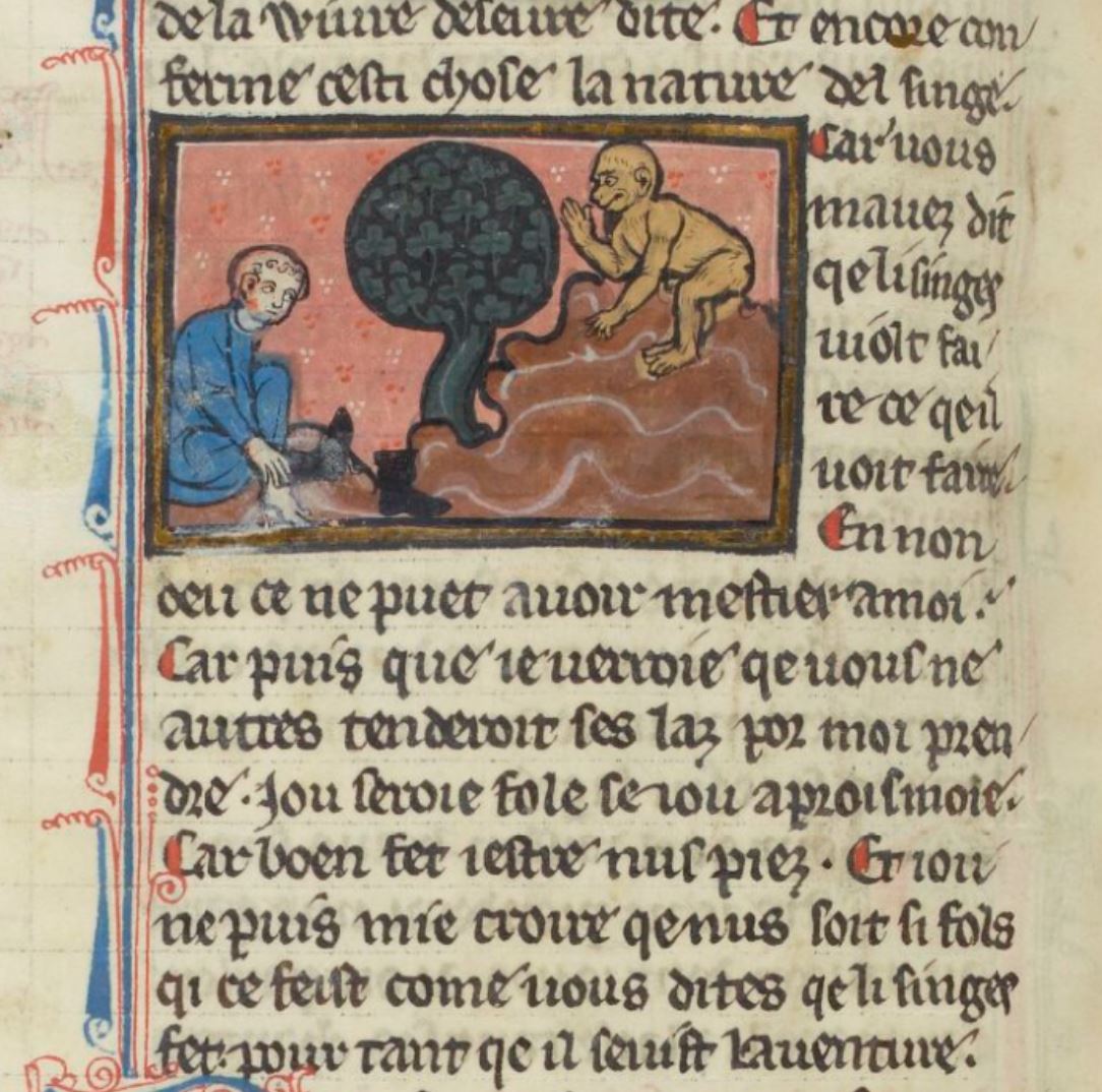 1285 Bestiaire d'amour of Richard de Fournival BNF fr. 412 folio 238v
