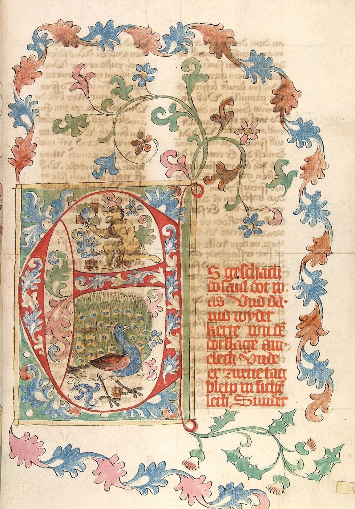 1441-49 Affe und Pfau, 2Sam 1,1 Bibel AT, deutsch Universitatsbibliothek Heidelberg Cod. Pal. germ. 20, Bl. 048r