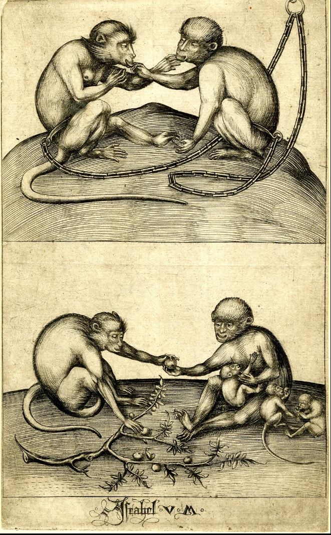 1490 Israhel van Meckenem British Museum A