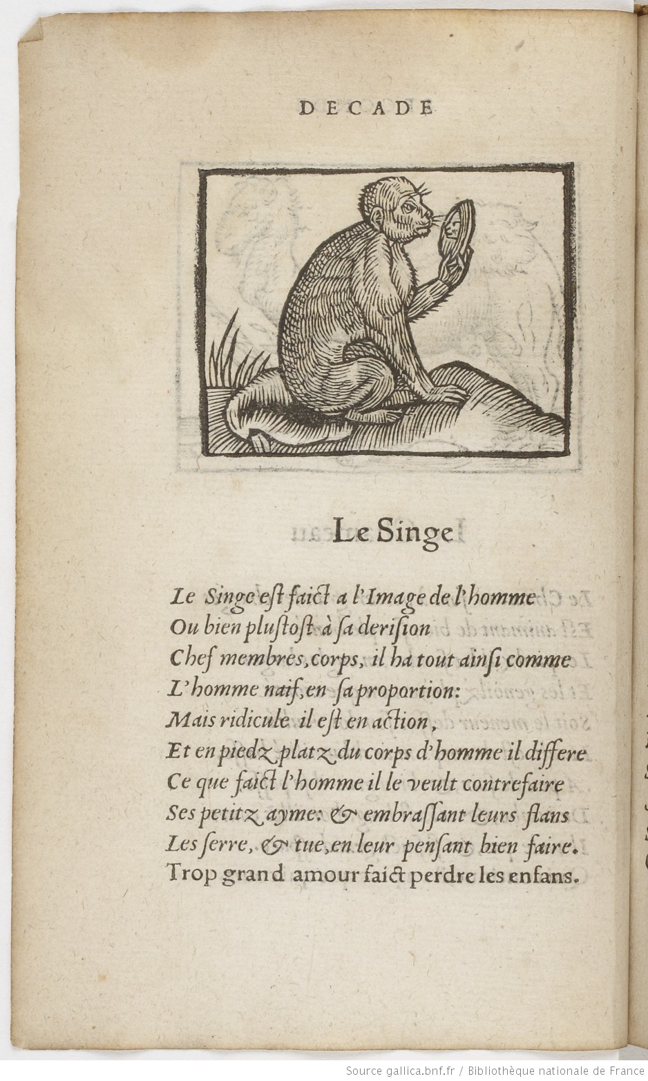 1549 Barthelemy Aneau, Decades de la description, forme et vertu naturelle des animaulx, tant raisonnables que brutz Lyon vue 38 Gallica