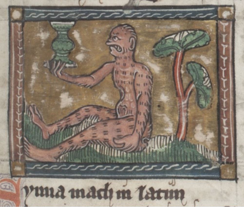 Le singe, Jacob van Maerlant, Der naturen bloeme 1350 ca , Koninklijke Bibliotheek, KB, KA 16 folio 69r