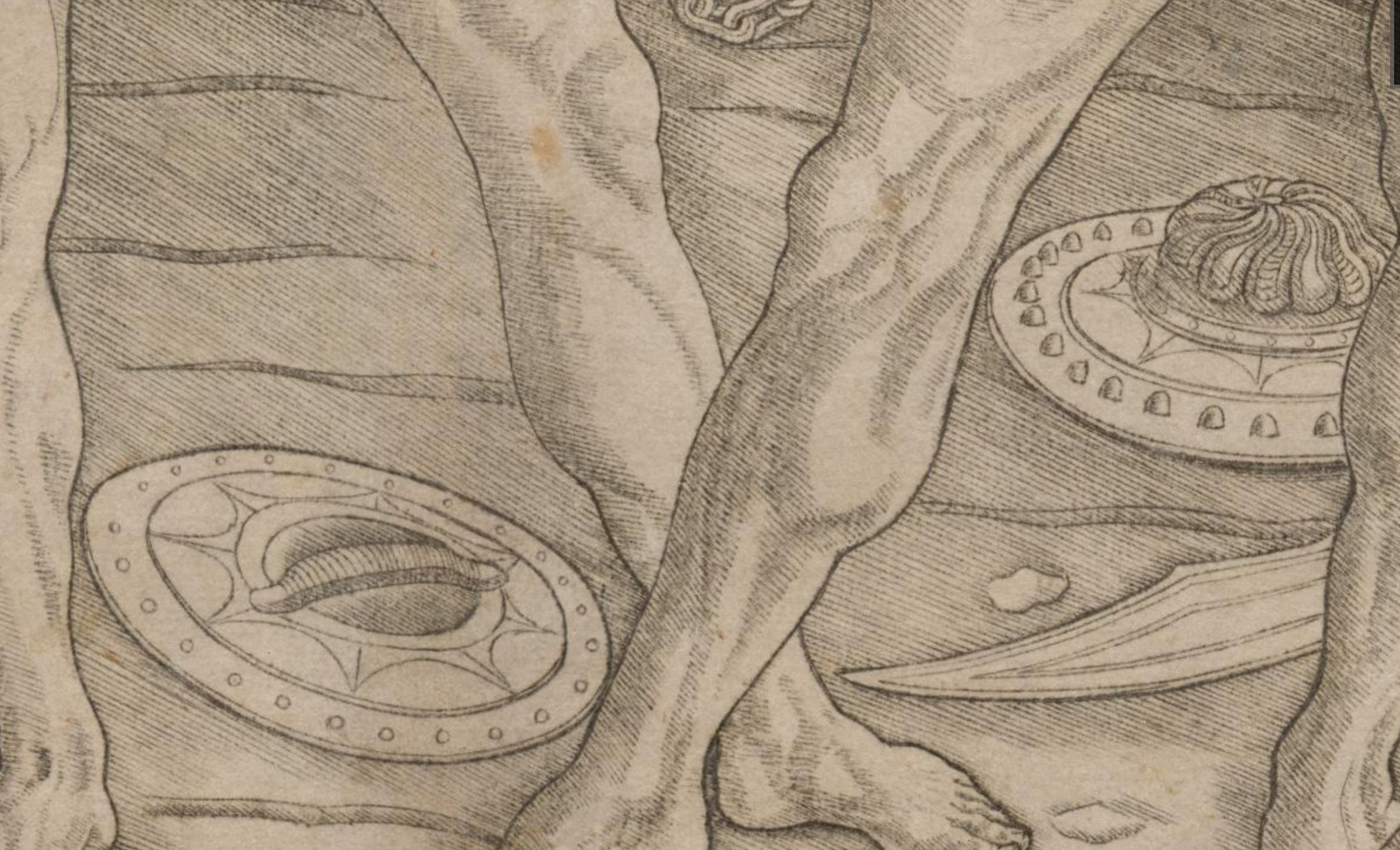1465-75 antonio_pollaiuolo_battle_of_the_nudes Albertina detail boucliers