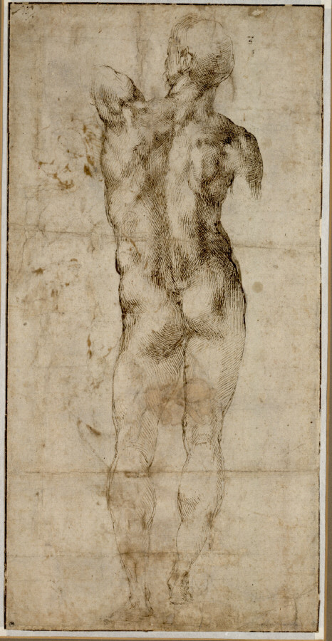 1501-04 michelangelo-buonarroti-standing-male-nude-seen-from-behind Albertina