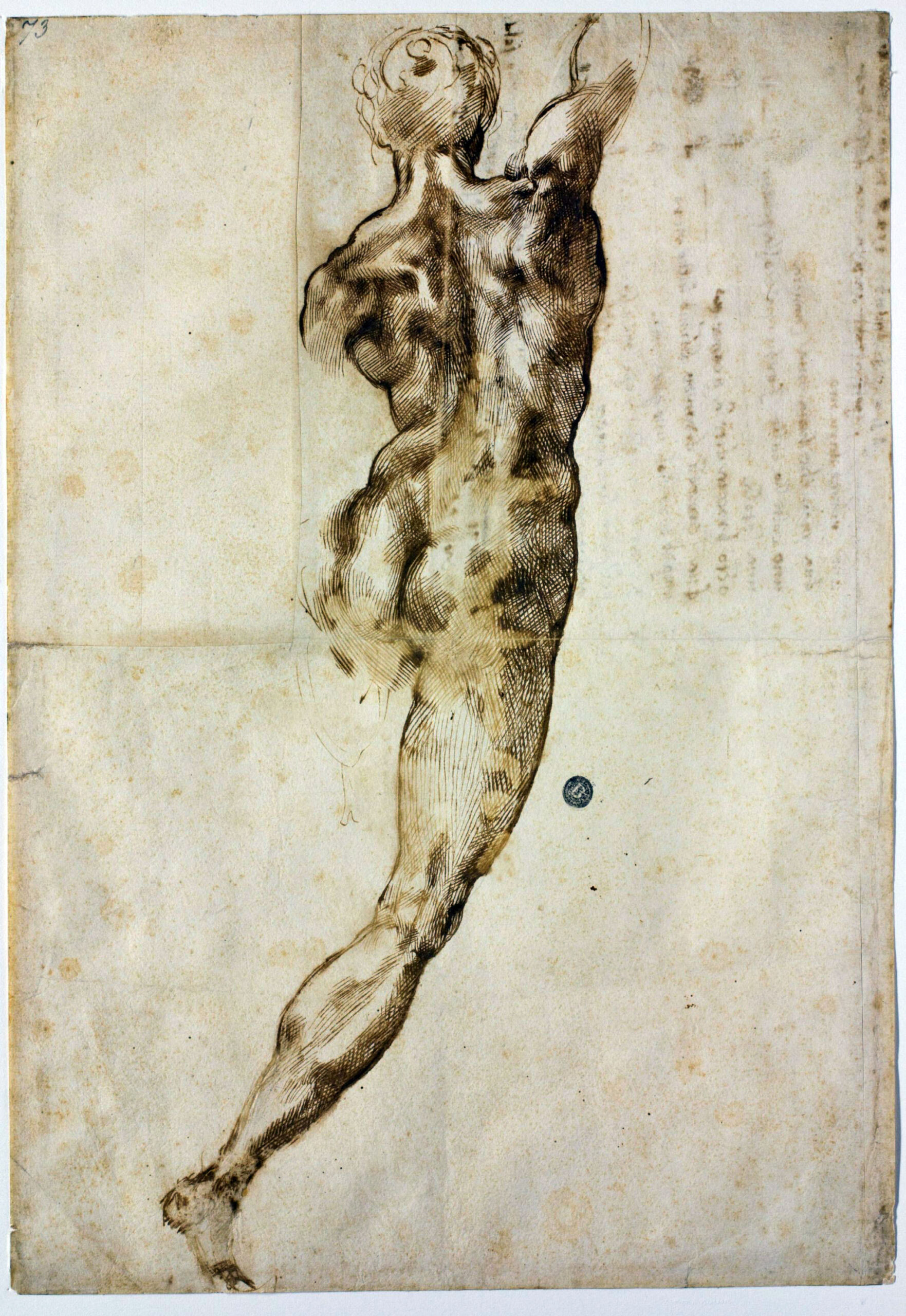 1504-05 Michelangelo Buonarroti – Nudo di schiena – Firenze, Casa Buonarroti