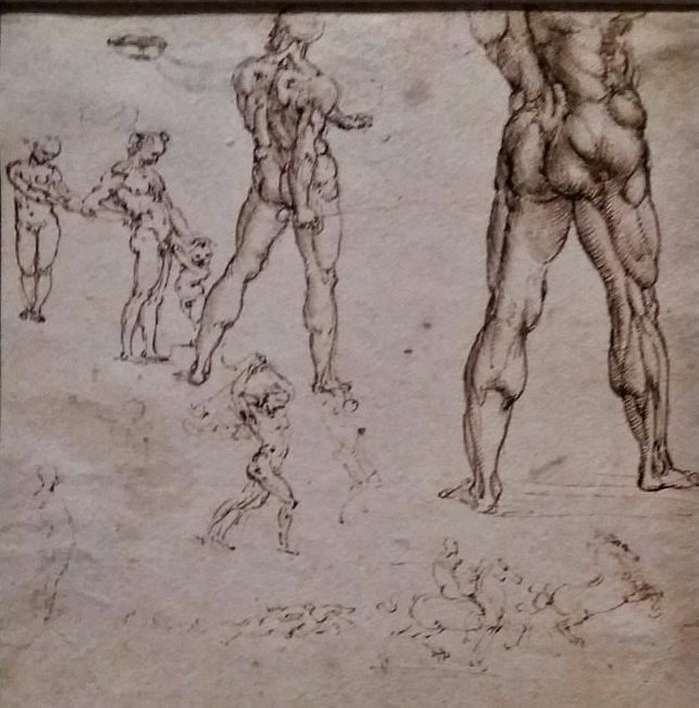 1505-08 Léonard de Vinci nudi-battaglia-anghiari-Biblioteca Reale Turin