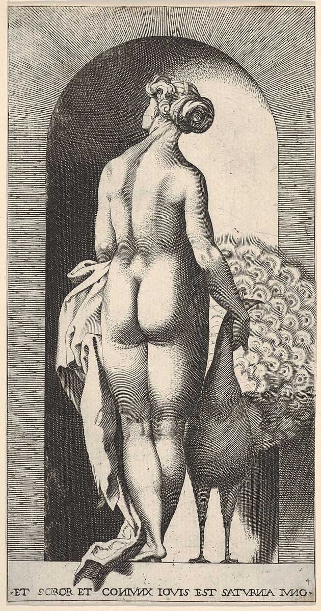 1526 Caraglio Junon dans une niche d apres un dessin de Rosso Fiorentino