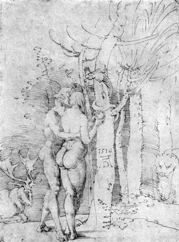 chez Dürer