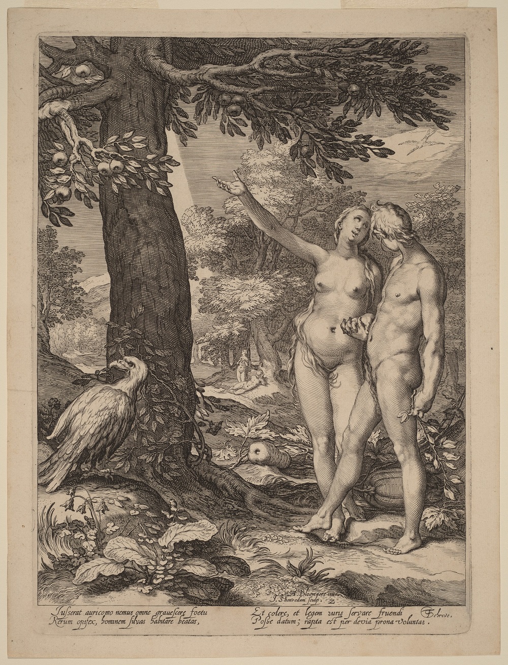 1604 Jan (Pietersz.) Saenredam dessin Abraham Bloemaert serie NGA devant arbre connaissance