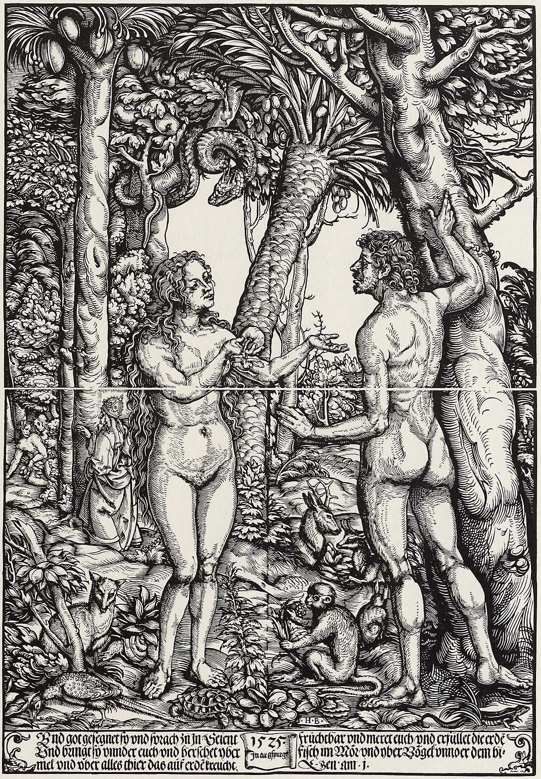 Adam Eve 1525 Hans Burgkmair l'ancien