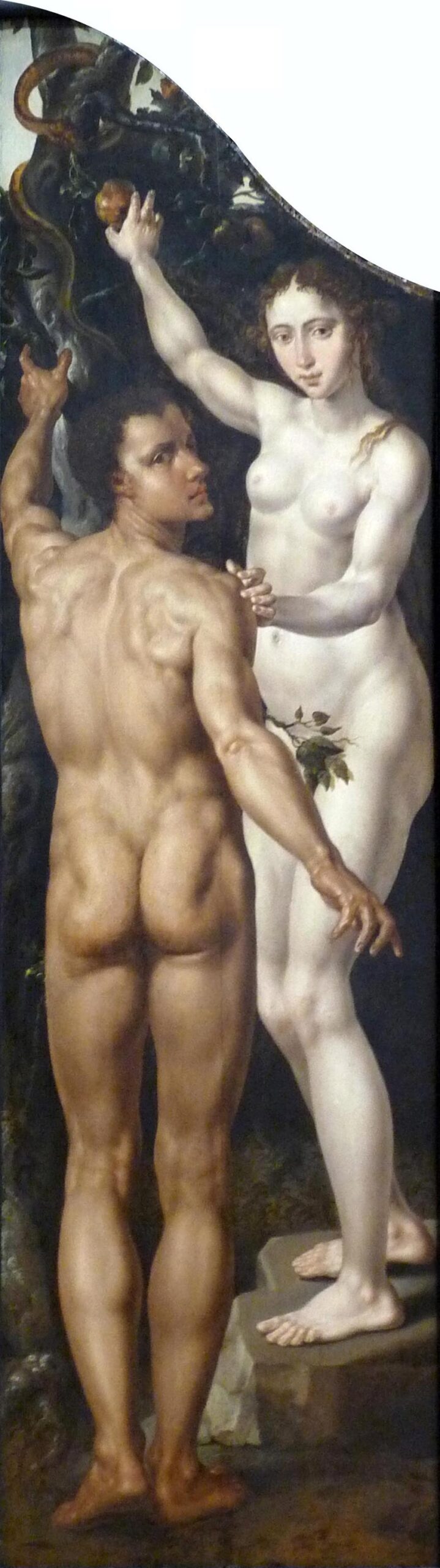 Adam Eve 1550 ca gedeon miracle toison van Heemskerck Musee des Beaux-Arts de Strasbourg A