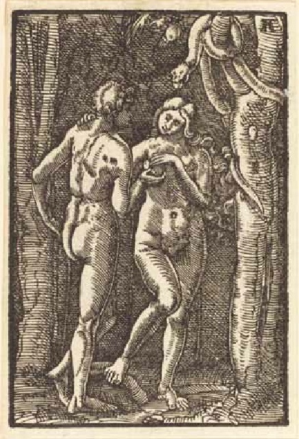 Altdorfer 1513 ca Adam Eve Fall-of-Man NGA inverse