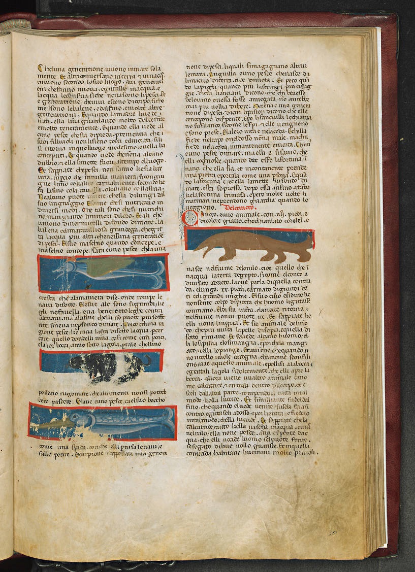 1320-50 Laurenziana Cod Plut XLII 19 fol 30r