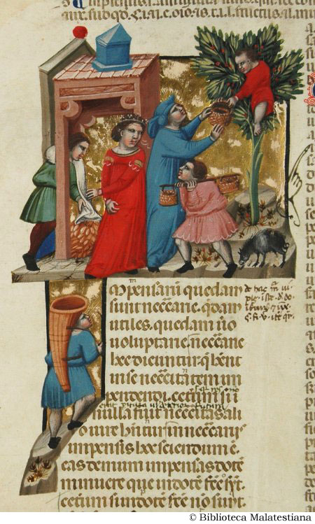 1330-40 L'Illustratore, (Bologne), Justinianus, Cesena, Biblioteca Malatestiana ms. S.IV.2 12v