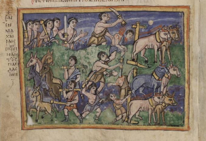 800-20 Vat. Gr. 749, fol 17v Première épreuve, la perte des ânes et des vaches (c) Biblioteca Vaticana