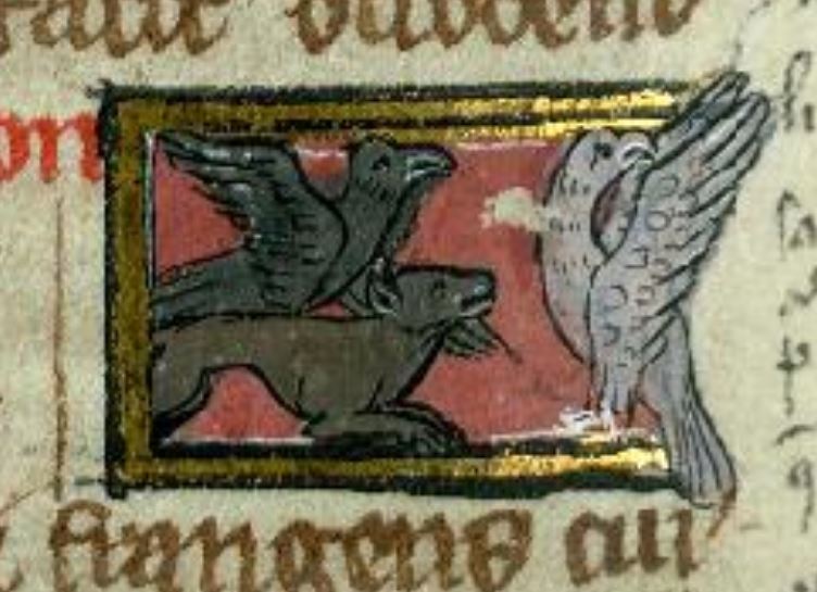 Faucon-emerillon-attaque-par-corbeau-et-renard-1290-ca-BM-Valenciennes-MS-320-folio-87v