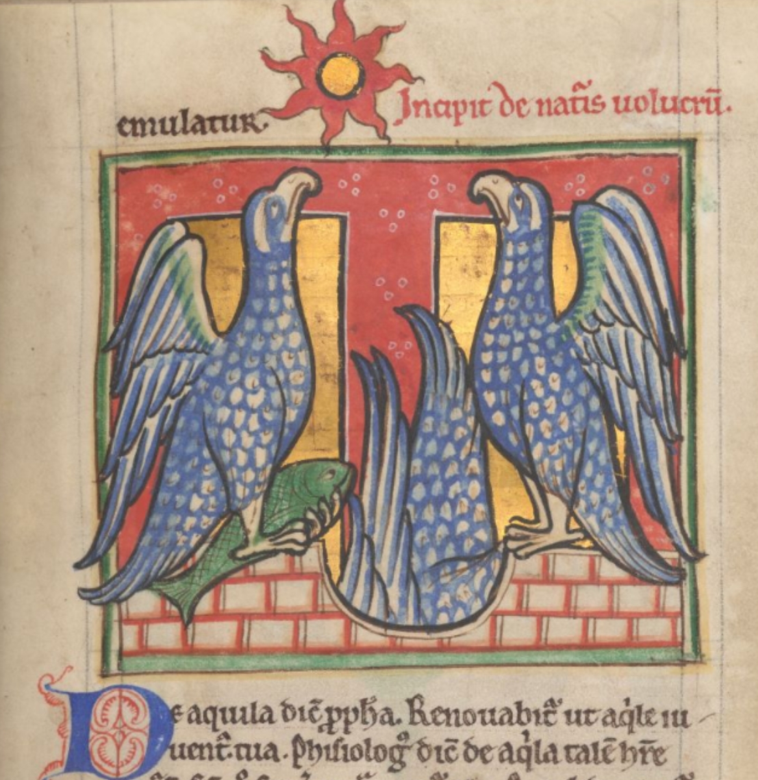 aigle-1185-Worksop-Bestiary-Morgan-Library-MS-M.81-fol-48r-