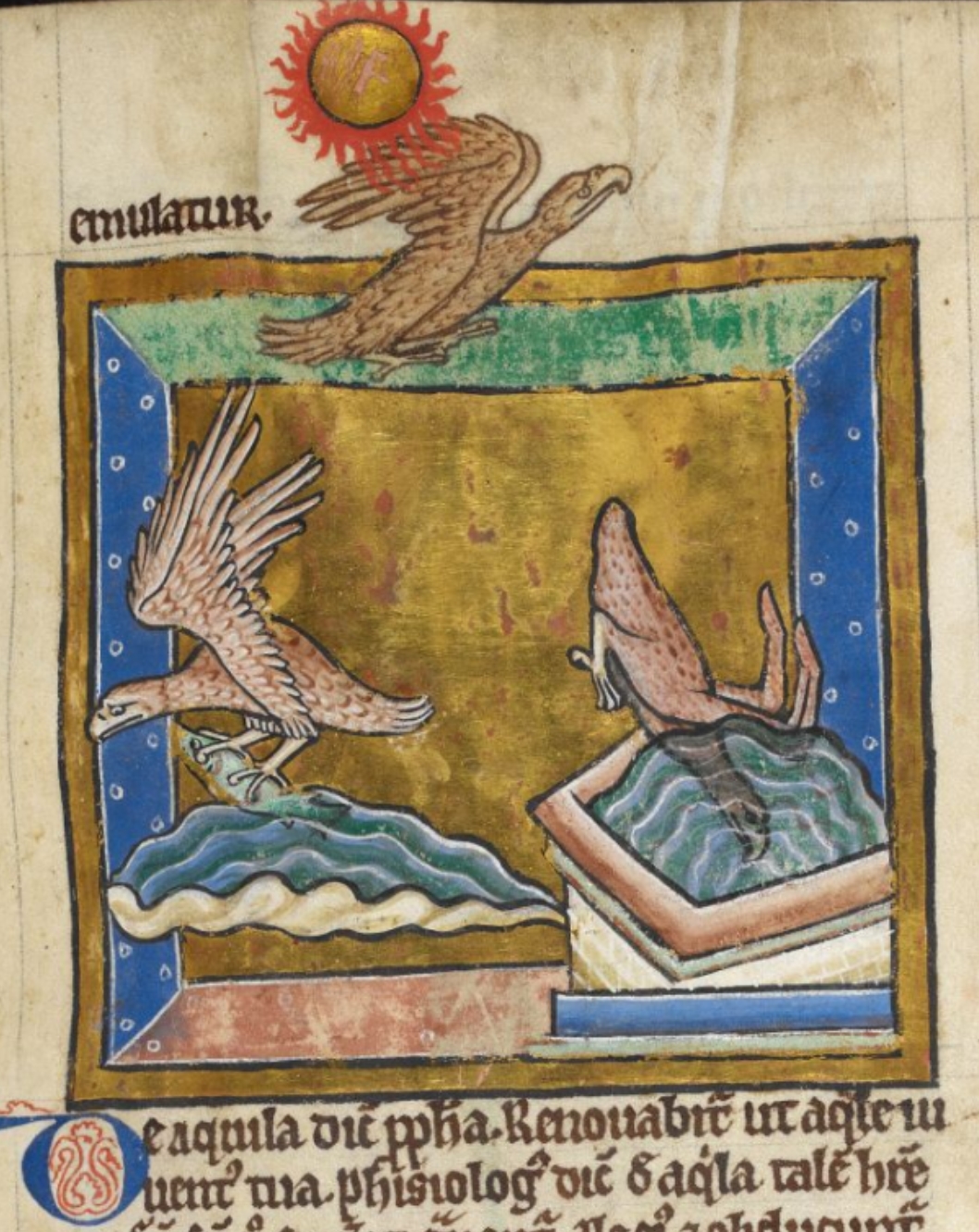 aigle-1200-10-ca-Bestiaire-Royal-MS-12-C-XIX-fol-38r