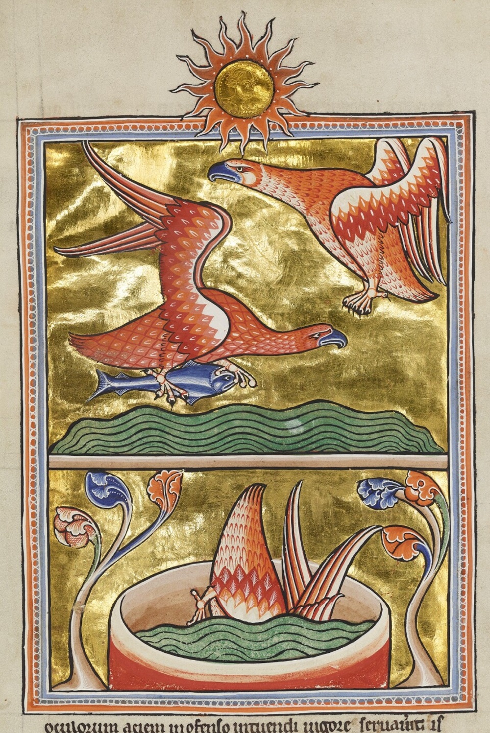 aigle-1200-20-Bodleian-Library-MS.-Ashmole-1511-fol-74r