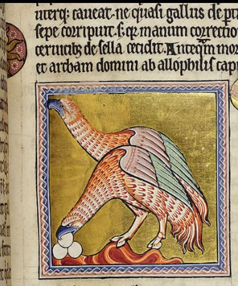 autruche 1200 Aberdeen University Library, Univ. Lib. MS 24 (Aberdeen Bestiary), folio 41r