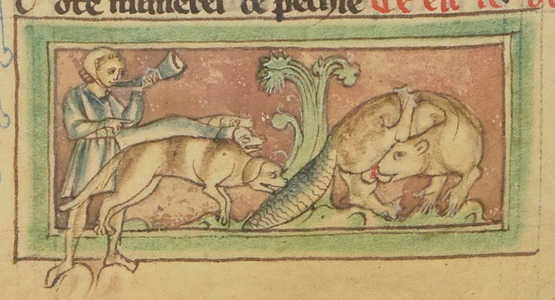 castor-se-castrant-1265-1270-Bestiaire-divin-BnF-fr-14969-fol-28v