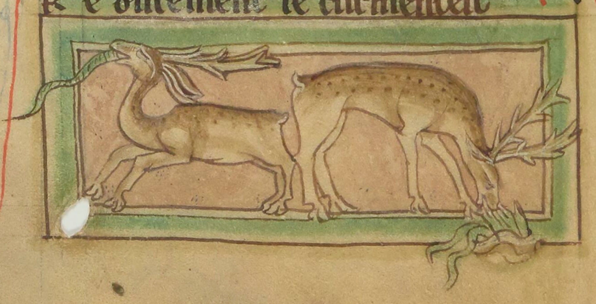 cerf-1265-1270-Bestiaire-divin-BnF-fr-14969-fol-51v