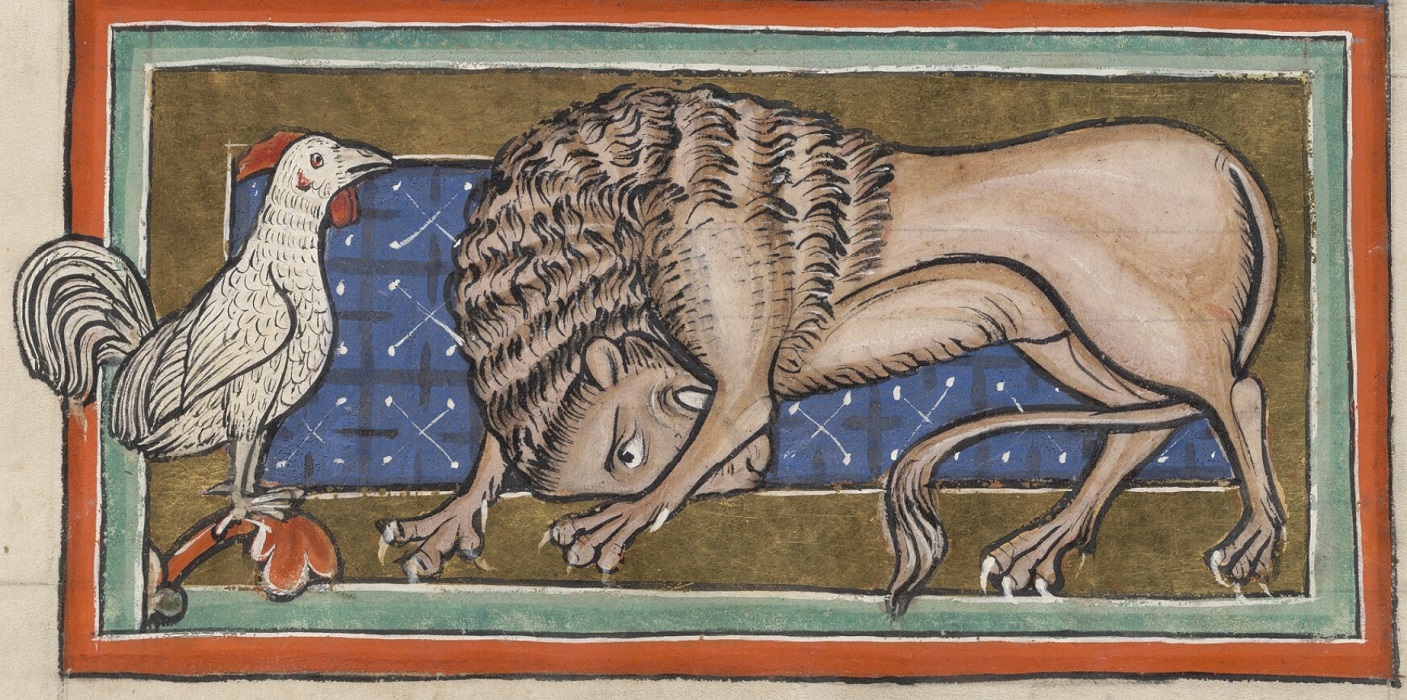 coq-blanc-effrayant-un-lion-1225-50-Bodleian-Library-MS.-Bodley-764-fol-2r