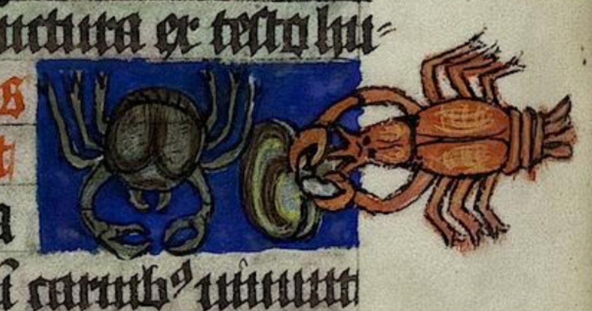 crabe-et-huitre-1425-Heidelberg-Vat-Pal.-lat.-291-De-rerum-naturis-folio-97v.