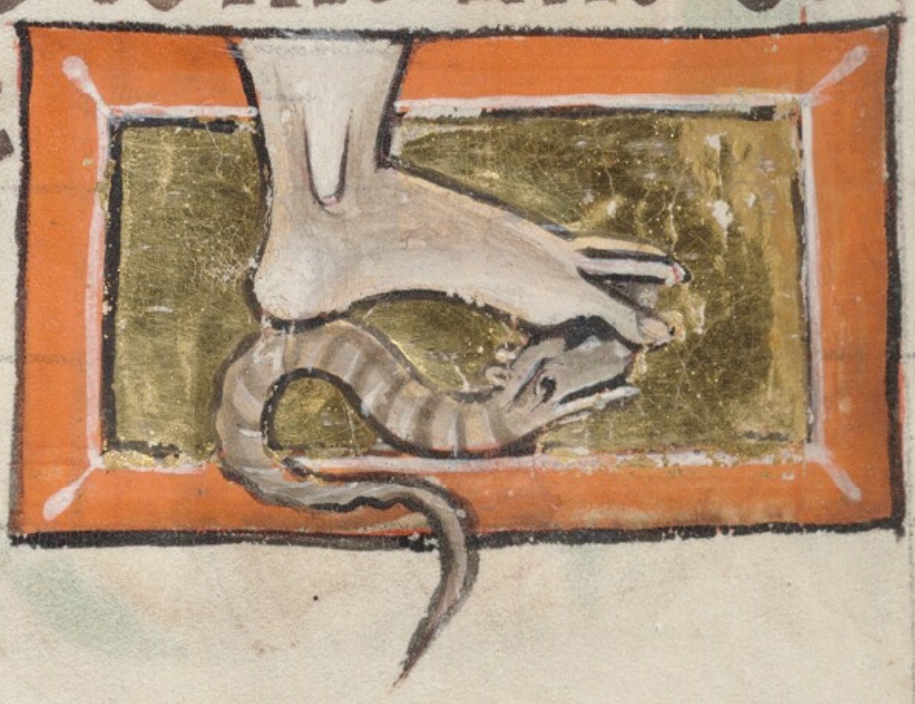 dipsa-1225-50-Bodleian-Library-MS.-Bodley-764-fol-98v