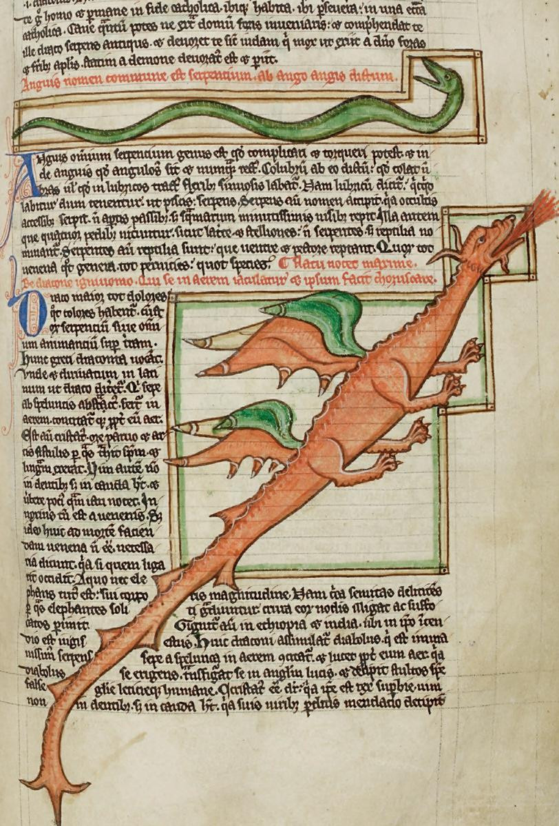 dragon 1236-50 British Library, Harley MS 3244, folio 59r