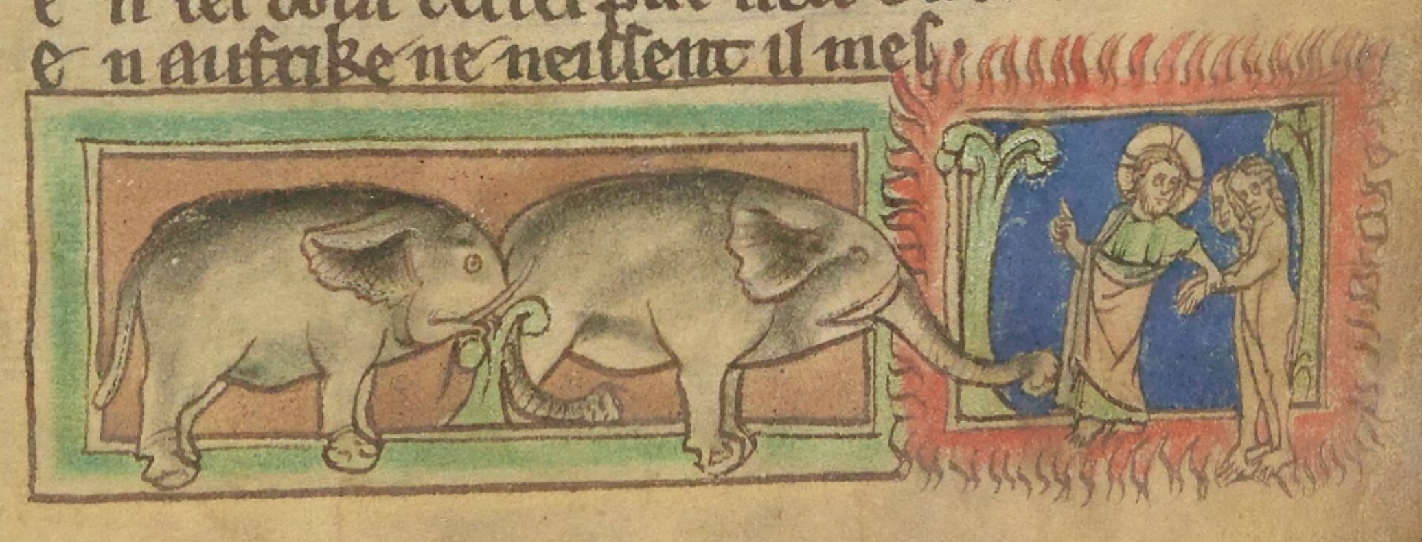 elephant-1265-1270-Bestiaire-divin-BnF-fr-14969-fol-59r